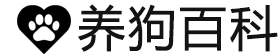 养狗百科