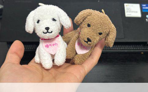 守护未来：孩子保险的必要性及选择