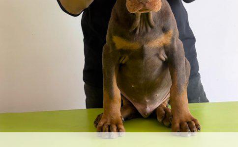 小孩买的这个平安保险怎么样？全面解析与建议