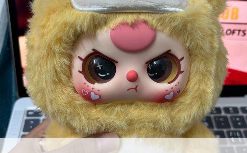 如何有效训练拉布拉多寻回东西