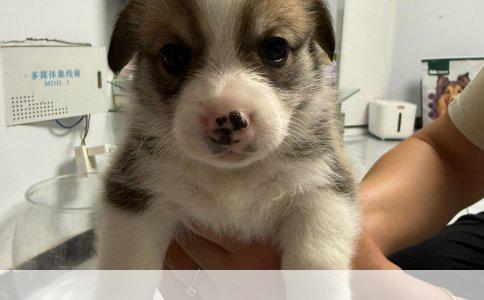 美容院油性皮肤护肤程序详解