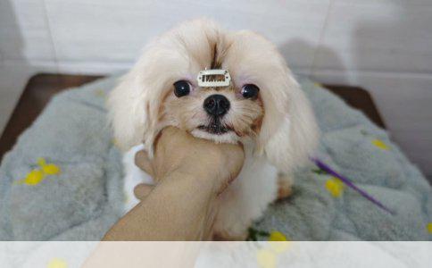 抑郁患者的日常护理策略