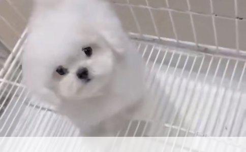 新手飞车指南：从入门到精通