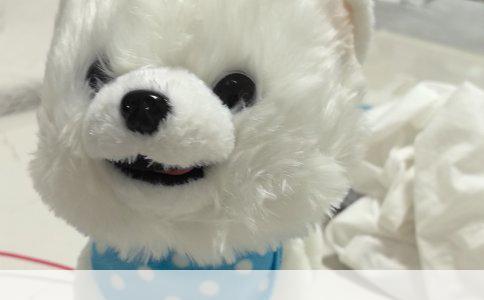 浅析违反治安管理行为的特征