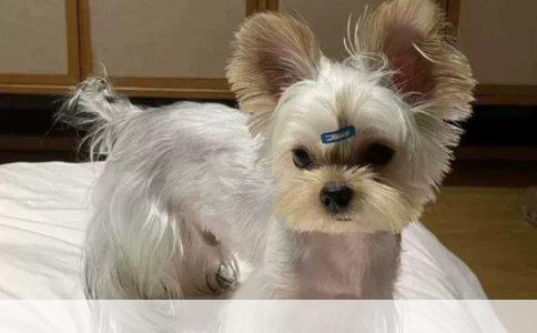 新手驾车指南：准确掌握行车路线