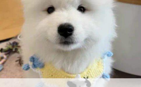 美容导师与美容顾问的职责差异详解