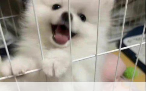 小云：现代女性皮肤需求市场调研