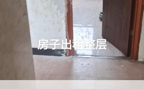 皮肤病治疗指南