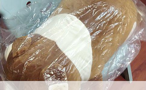 成都宠物美容学校新手指南：选择适合初学者的宠物美容学校