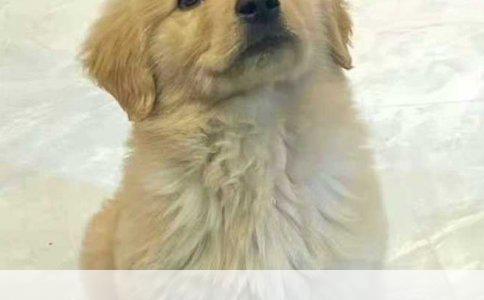 外贸新手求教：CIF贸易术语下成本核算详解